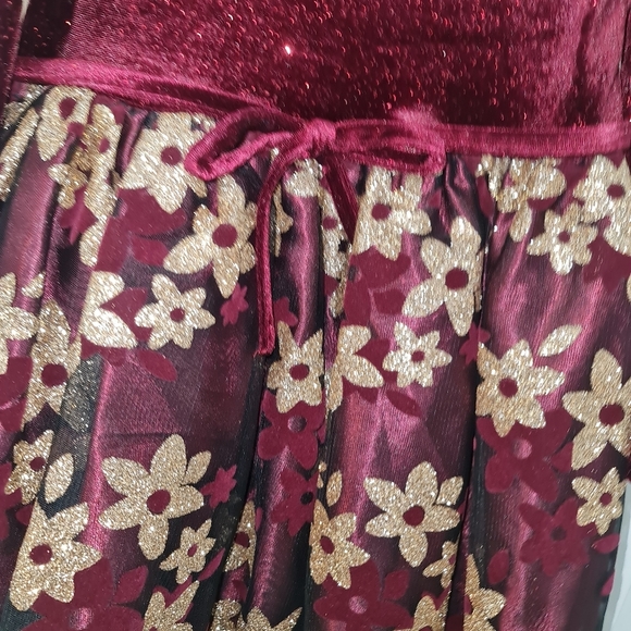 Beautiful NWOTs Toddler Sz 4 Holiday Dress - Picture 8 of 8